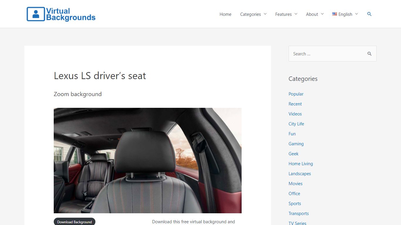 Lexus LS driver's seat - Virtual Backgrounds